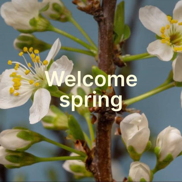 First Day of Spring video template | by Vimeo